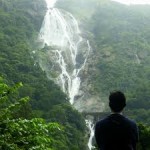Dudhsagar Falls and Spice Plantation 1D 